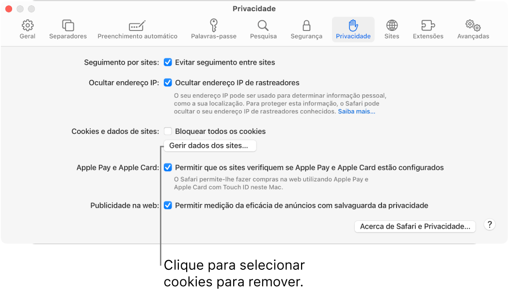 O painel “Privacidade” das definições do Safari.