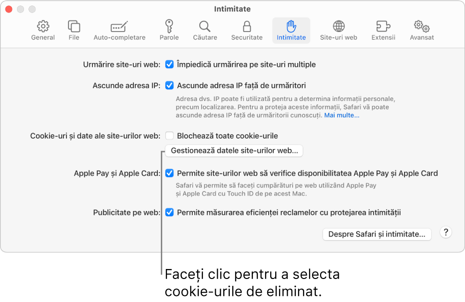 Panoul Intimitate din configurările Safari.