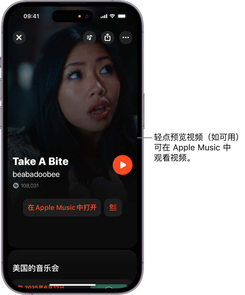 Shazam 曲目屏幕显示视频预览