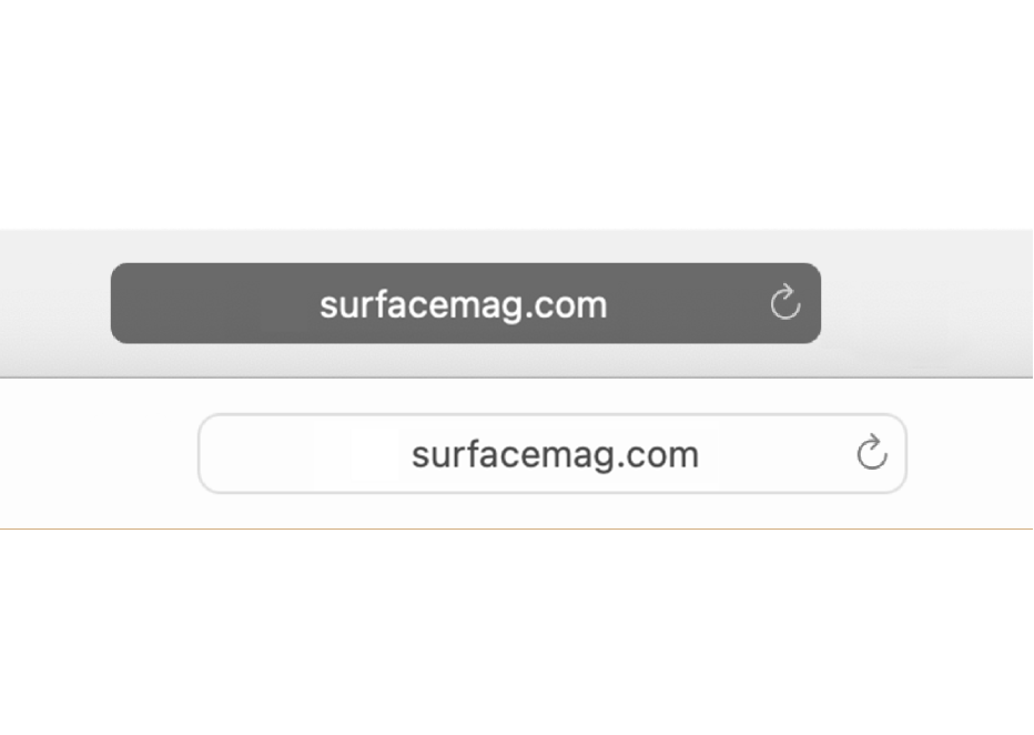 The Smart Search field for a Private Browsing window and for a normal window.