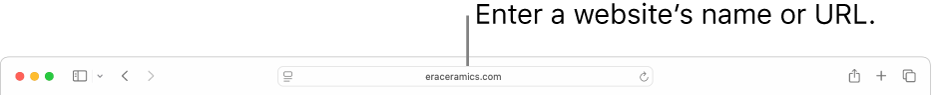 The Smart Search field, located in the middle of the Safari toolbar.