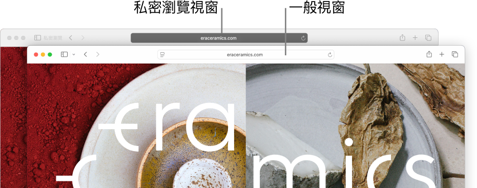 私密 Safari 視窗的「智慧型搜尋」欄位為深色,而一般 Safari 視窗的「智慧型搜尋」欄位為淺色。