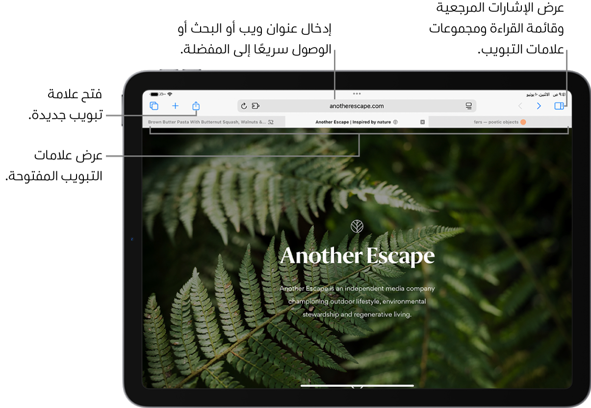 صفحة ويب مفتوحة. على طول الجزء العلوي، من اليمين إلى اليسار، يوجد زر الشريط الجانبي، وعنوان مجموعة علامات التبويب المفتوحة الحالية، وزر السابق ورجوع، وحقل البحث، وزر مشاركة، وزر علامة تبويب جديدة، وزر العرض العام لعلامة التبويب.