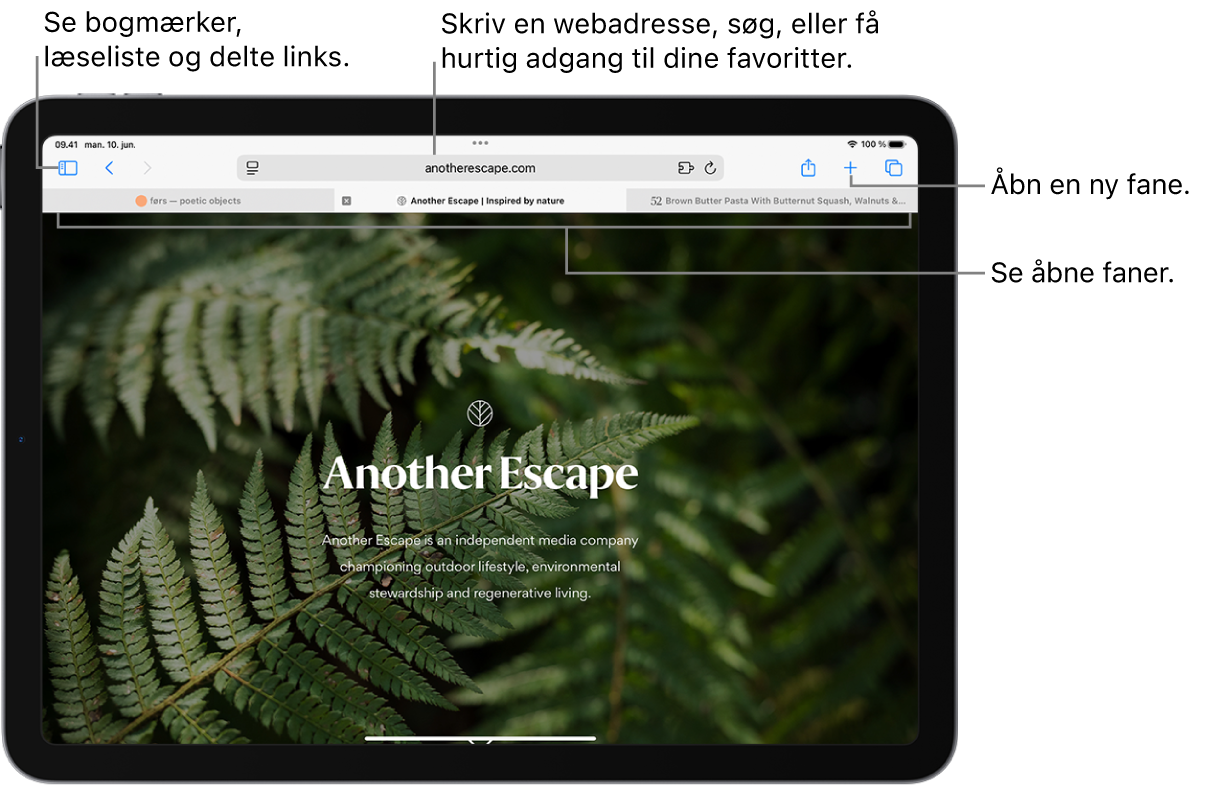 En åben webside. Langs toppen fra venstre mod højre vises knappen Indholdsoversigt, titlen på den fanegruppe, der er åben i øjeblikket, knapperne Forrige og Tilbage, søgefeltet, knappen Del, knappen Ny fane og knappen Faneoversigt.