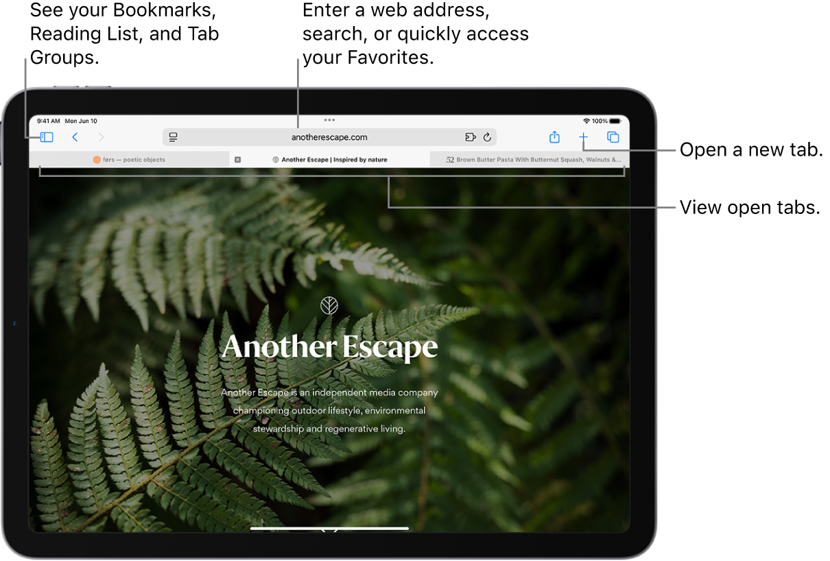 An open webpage. Along the top, from left to right, are the Sidebar button, the title of the current open Tab Group, the Previous and Back buttons, the search field, the Share button, the New Tab button, and the Tab Overview button.