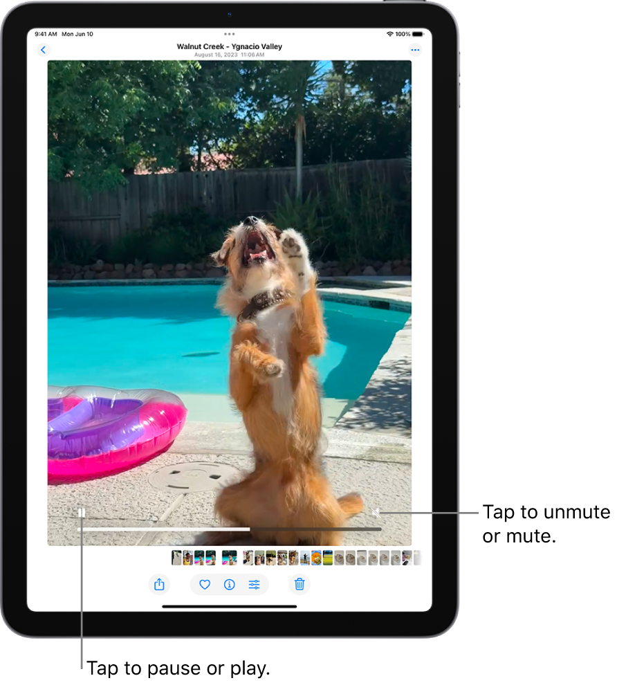 The Photos app video player is in the center of the screen and a video is playing. At the bottom of the video, from left to right, are the Play/Pause button, a progress bar, and the Mute/Volume button.
