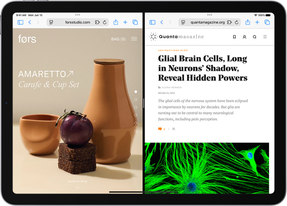 The screen shows two different webpages, separated by an adjustable divider. At the top of each webpage is the icon for the Multitasking Controls.