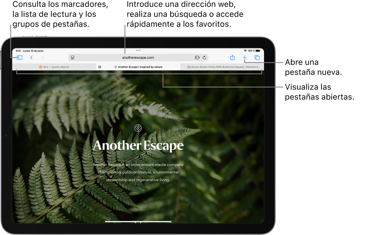 Una página web abierta. A lo largo de la parte superior, de izquierda a derecha, están el botón de barra lateral, el título del grupo de pestañas abierto actualmente, los botones Anterior y Atrás, el campo de búsqueda, el botón Compartir, el botón “Nueva pestaña” y el botón de la visión general de pestañas.