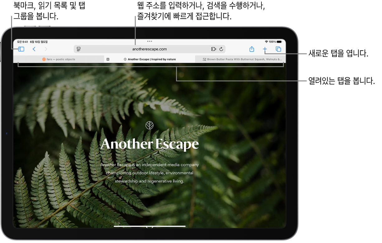 열려 있는 웹 페이지. 상단에는 왼쪽에서 오른쪽으로 사이드바 버튼, 현재 열려 있는 탭 그룹의 제목, 이전 및 뒤로 버튼, 검색 필드, 공유 버튼, 새로운 탭 버튼, 탭 개요 버튼이 있음.