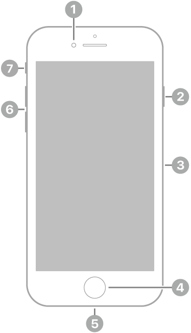 iPhone SE (2য় জেনারেশন)-এর ফ্রন্ট ভিউ। সামনের ক্যামেরাটি উপরের দিকে, স্পিকারের বামদিকে রয়েছে। ডানদিকে, উপর থেকে নিচে, সাইড বাটন এবং SIM ট্রে রয়েছে। হোম বাটনটি নিচে মাঝখানে রয়েছে। Lightning কানেক্টরটি নিচের প্রান্তে রয়েছে। বামদিকে, নিচ থেকে উপরে, ভলিউম বাটন এবং রিং/সাইলেন্ট স্যুইচ রয়েছে।
