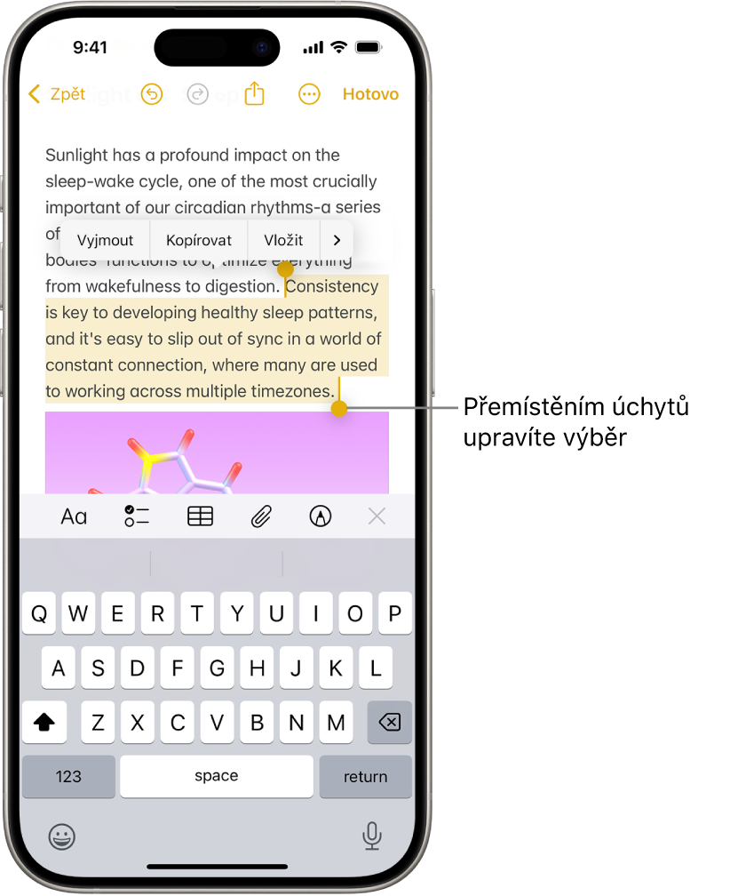 V poznámce v aplikaci Poznámky je vybrán text. Nad ním se nacházejí tlačítka Vyjmout, Kopírovat, Vložit a Automatické vyplnění. Vybraný text je zvýrazněný a na obou koncích se zobrazují úchyty pro úpravu výběru.