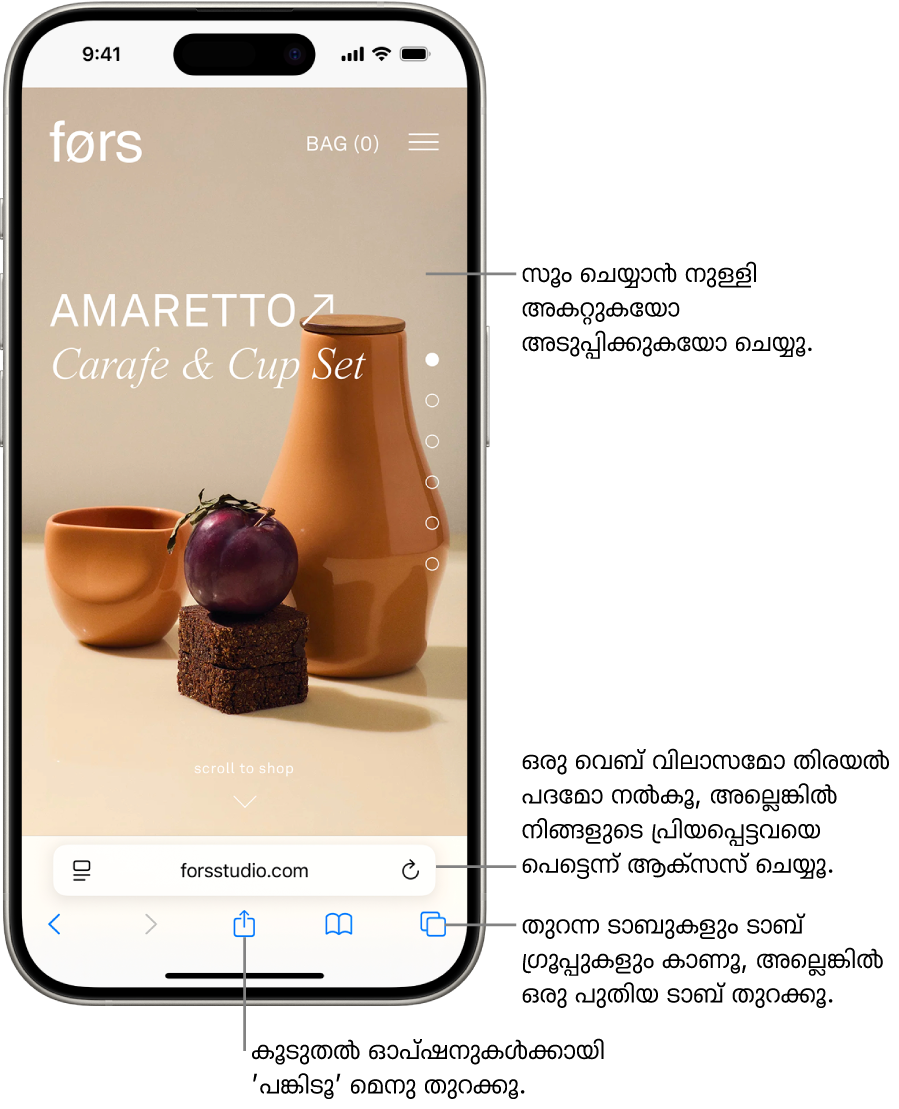 താഴെ അഡ്രസ് ഫീൽഡ് ഉള്ള ഒരു വെബ്സൈറ്റ് Safari-യിൽ തുറന്നിരിക്കുന്നു. താഴെ, ഇടത്തുനിന്ന് വലത്തേക്ക് നൽകിയിരിക്കുന്നത്, പിന്നിലേക്ക്, ഫോർവേഡ്, പങ്കിടൽ, ബുക്ക്മാർക്കുകൾ, ടാബുകൾ ബട്ടണുകൾ ആണ്.